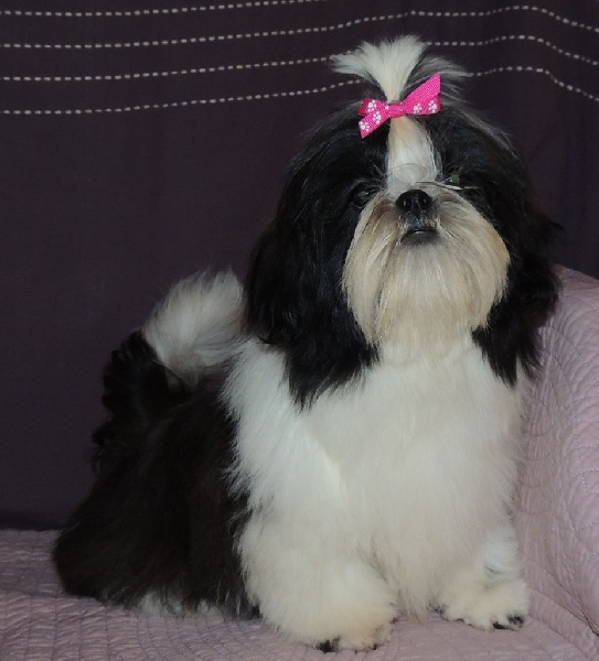 Lolita De La Villa Des Houx