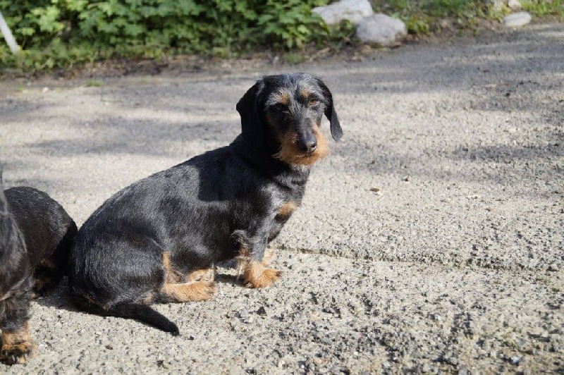 Gixy Des marais de courmont