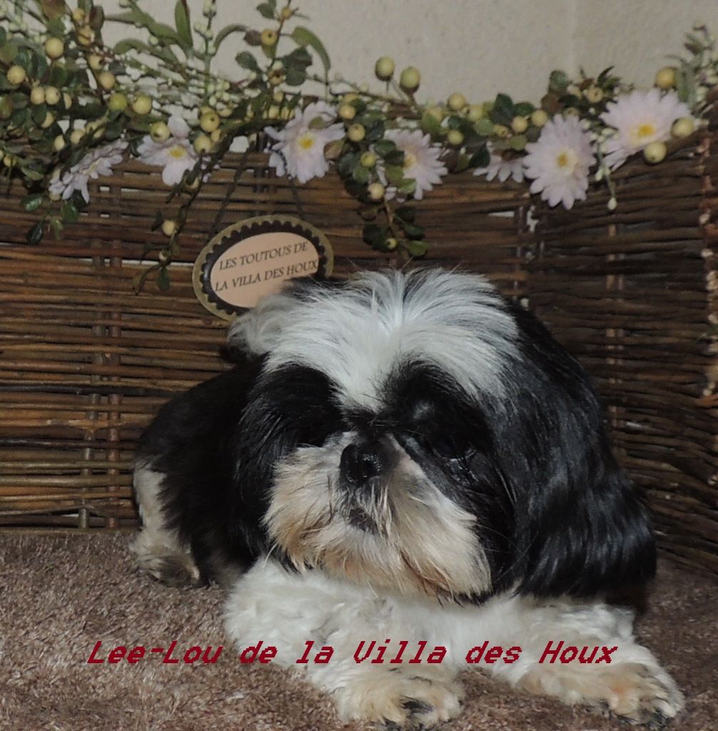 Lee-lou De La Villa Des Houx