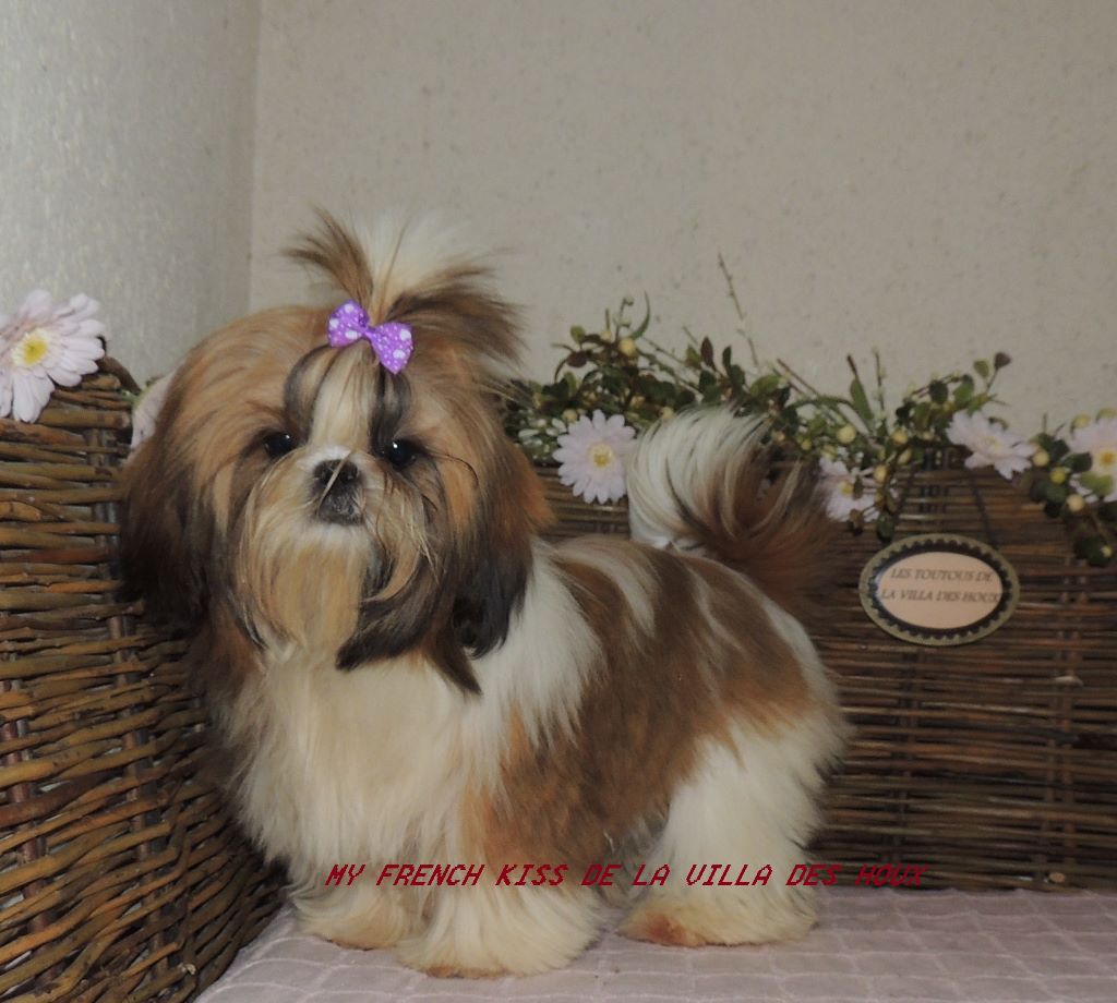 My french kiss De La Villa Des Houx
