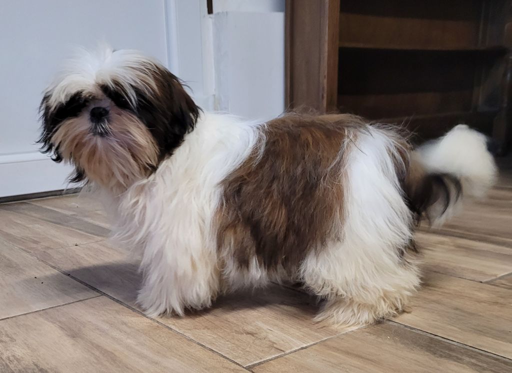 Urbane Des marais de courmont