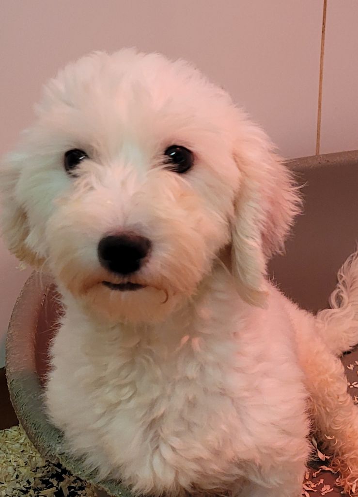 Ucia Des marais de courmont