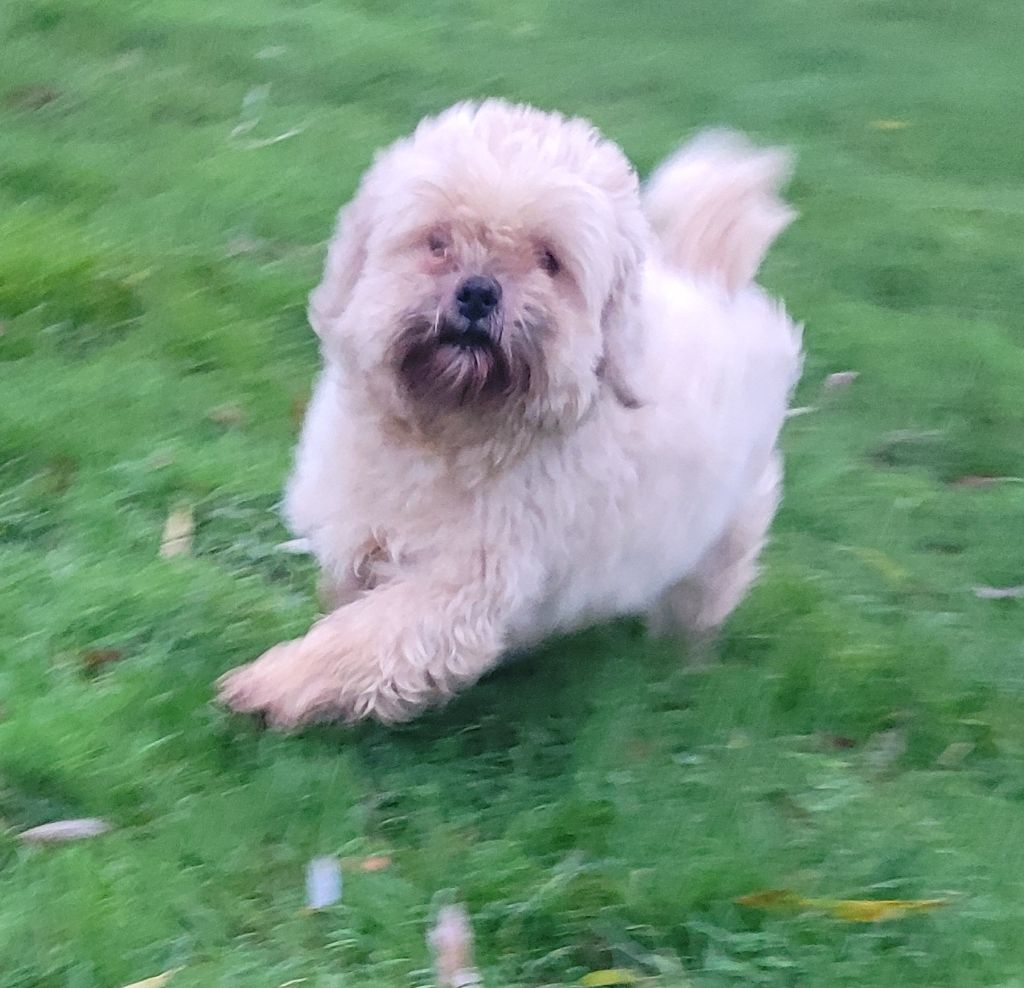 Tamara Des marais de courmont