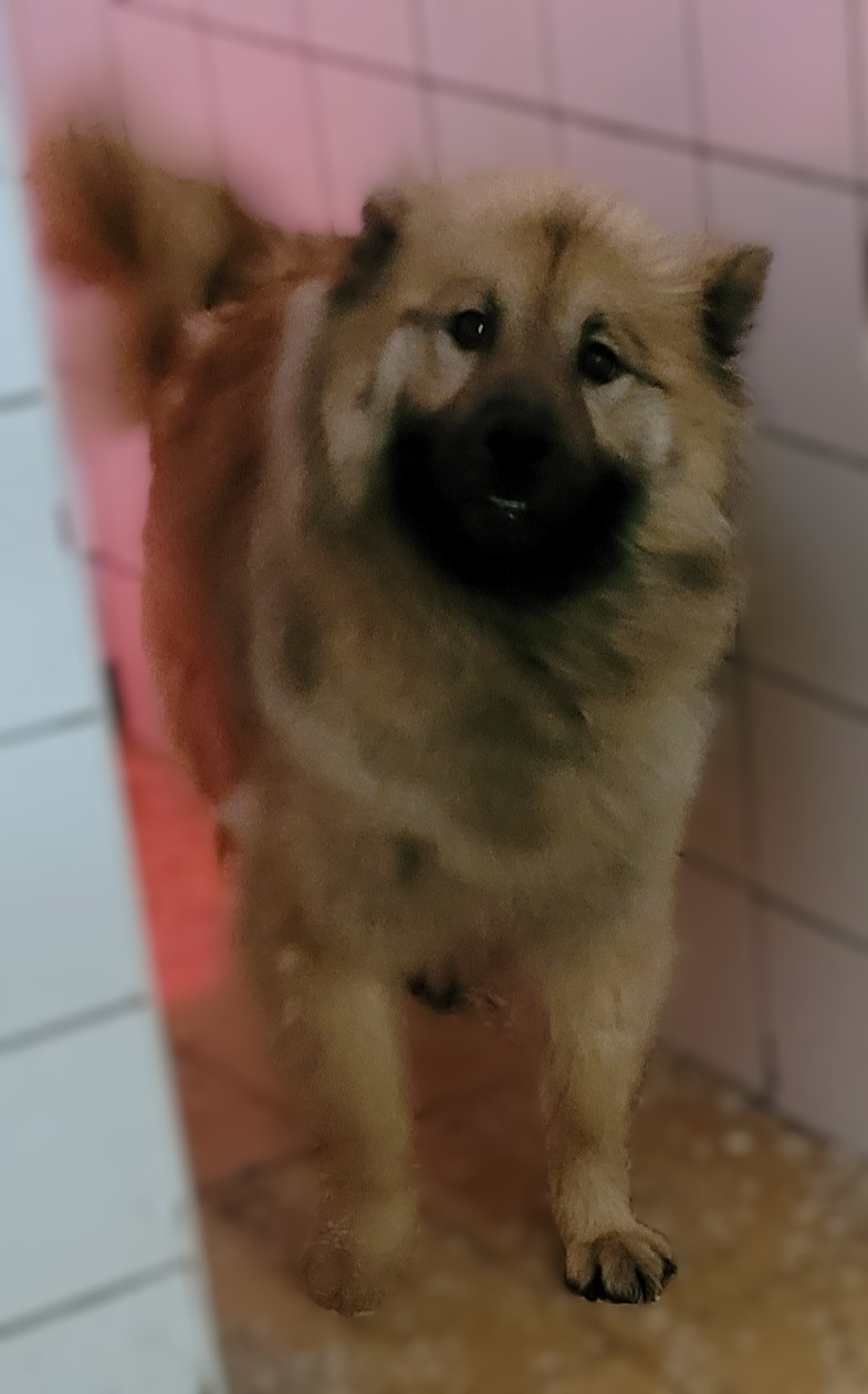 Tika Des marais de courmont