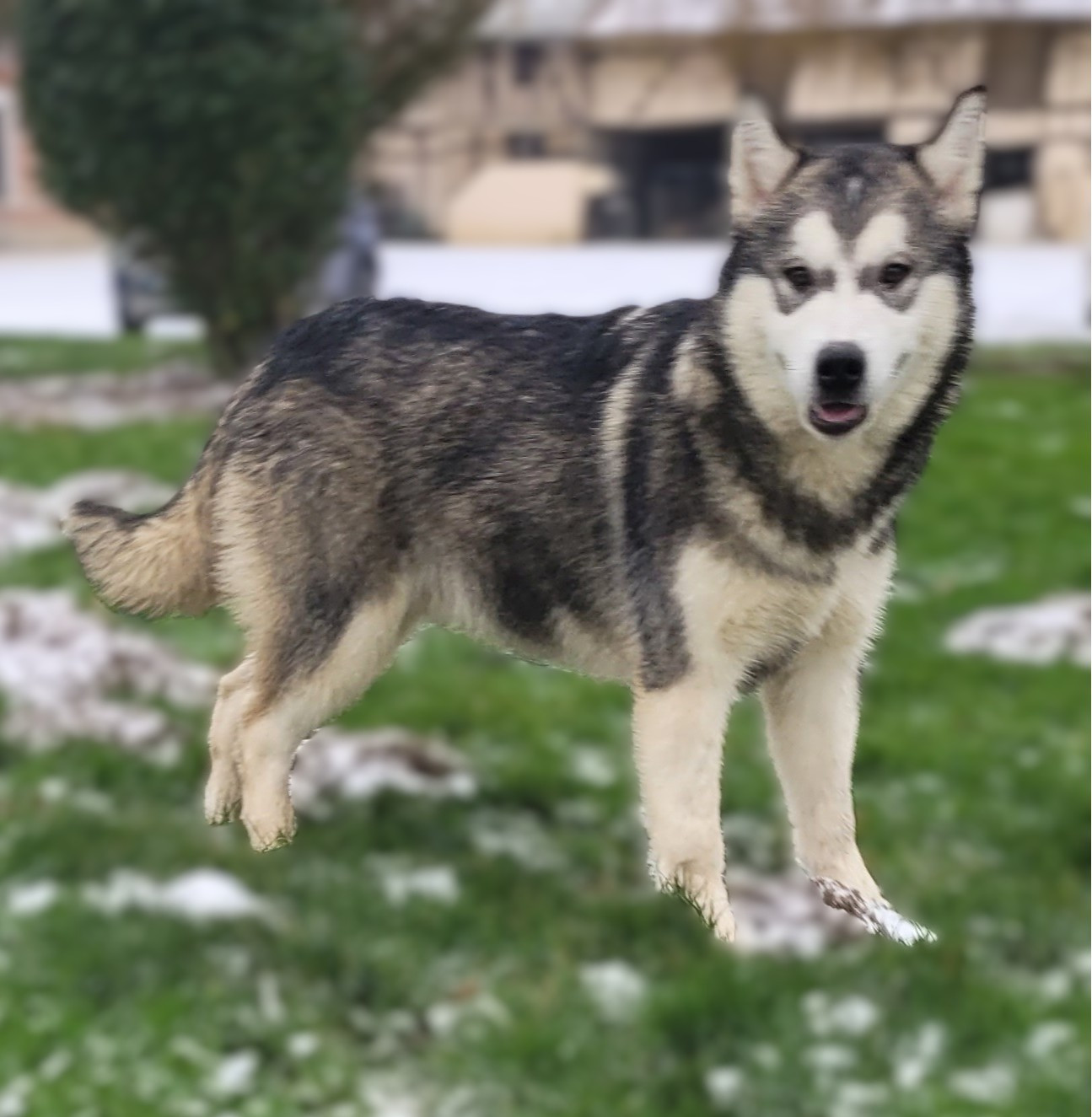 Vaneo Des marais de courmont