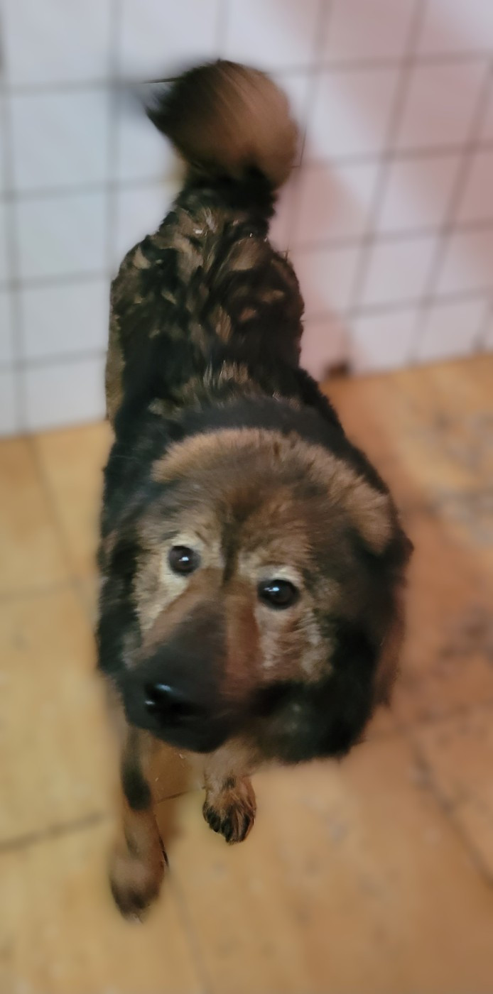 Tammy Des marais de courmont